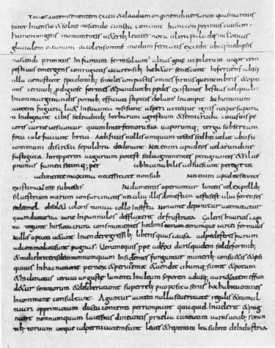 Eine Kopie des Berichtes von Ammianus Marcellinus über die Hunnen befindet sich in der Vatikanischen Apostolischen Bibliothek. Ammianus Marcellinus Hunnen